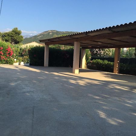 Résidence Villa Branda Calvi (Corsica) Exterior foto