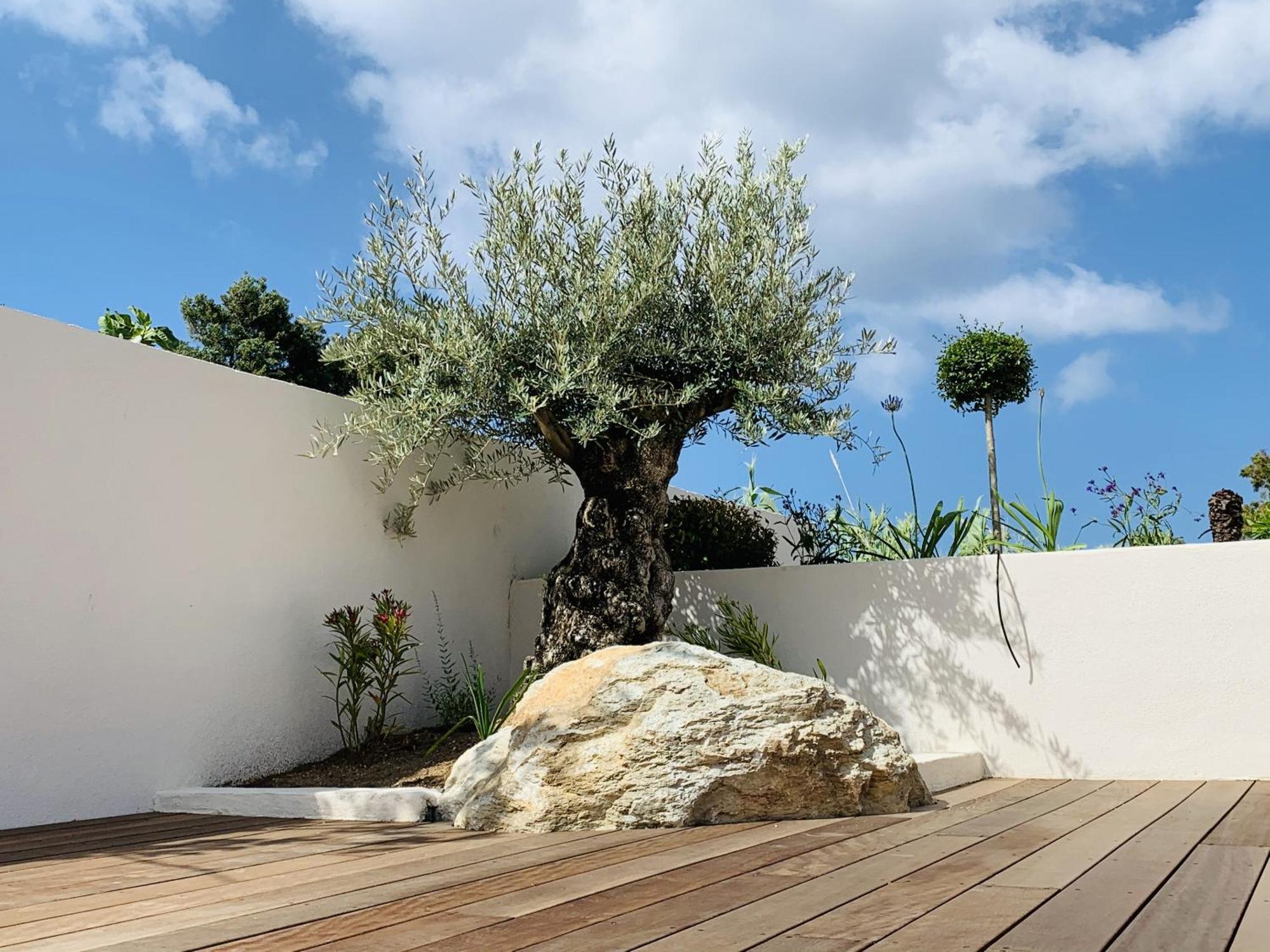 Résidence Villa Branda Calvi (Corsica) Exterior foto